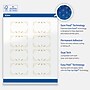 Avery Rectangle Multipurpose Labels, 2" x 3", White, 80/Pack (19479370647)~#|#~818640D1-2F54-425F-901D9305992704A3_sc7