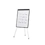 Staples Presentation Flip Chart Easel, White Steel (28217US/50445US)~#|#~819BC669-2282-434E-92A631AC78D1A79F_sc7