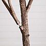 Nearly Natural 8' Autumn Oak Artificial Fall Tree (T4809)~#|#~81C1A2FF-D816-45DE-944F16FA490F831F_sc7