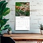 2027 BrownTrout Japanese Gardens 12" x 12" Monthly Wall Calendar (9798330713981)~#|#~81C95CA2-78BD-4D32-92FDC6C8AAD9D0C2_sc7