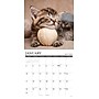 2027 Willow Creek Multi 12" x 12" Monthly Wall Calendar, Assorted Colors (62937)~#|#~81D1843C-9788-4EA9-A2963641F1C534CE_sc7
