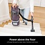 Shark Navigator Lift-Away ADV Upright Vacuum, Bagless, Purple (LA362)~#|#~81D24D4B-096B-4FDA-916E9BB9E51305FF_sc7