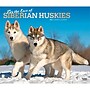 2027 BrownTrout For the Love of Siberian Huskies 14" x 12" Monthly Wall Calendar, Assorted Colors (9798330709274)~#|#~81D8CEF1-1B1B-4487-98C4F5EAEF6B7C84_sc7
