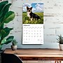 2026 BrownTrout Welsh Corgis 12" x 12" Monthly Wall Calendar (9798330706235)~#|#~81DC9D97-A0CA-4117-86D8B645325ECADB_sc7