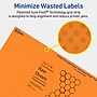 Avery Rectangle Multipurpose Labels, 2.5" x 4", Bright Orange, 60/Pack (94245)~#|#~81F38A84-B2B3-4F3E-B2B1E6149737A0E9_sc7