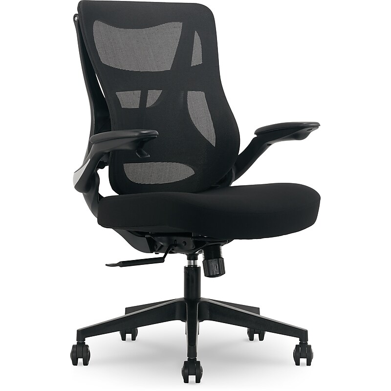 Beautyrest ErgoMax Ergonomic Mesh Swivel Task Chair, Black (60078-BLK) image 1