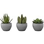 Monarch Specialties Inc. Succulents in Pots, 3/Pack (I 9587)~#|#~820AEEF8-D39E-4D90-B0A298C13E43CB93_sc7