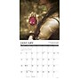 2026 Willow Creek Zen 12" x 12" Monthly Wall Calendar (53409X)~#|#~8219805D-D26A-4590-87EB53F3FBEC9E6F_sc7
