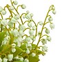National Tree Company 10" Green Lily-of-the-Valley Flowers in Wood Box (MT81-00326GGR-1)~#|#~8226F1A9-6C81-45A4-9793503E964B7B2D_sc7