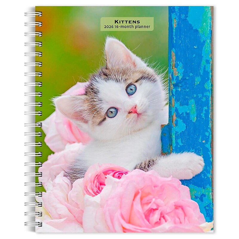 2026 BrownTrout Kittens 6.5" x 7.75" Weekly Planner (9798330704125) image 1