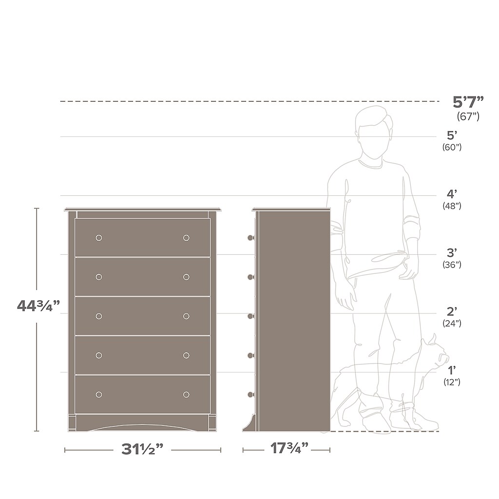 User height comparison with chest