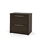 Bestar Embassy Collection 2-Drawer Lateral File Cabinet, Dark Chocolate (60630-3179)~#|#~82489BA6-696A-4786-9CE405567AB9C600_sc7