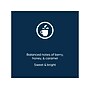 Alterra Donut Shop Coffee Flavia Freshpacks, Medium Roast, 40/Carton (48140)~#|#~824C33BC-EE97-40FB-9217B09AC4EB8E41_sc7
