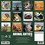 2026 Willow Creek Animal Antics 12" x 12" Monthly Wall Calendar (57735X)~#|#~824DF24A-BD62-4A23-8C369B19380DB1F7_sc7