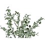 Monarch Specialties Inc. Eucalyptus in Pot (I 9562)~#|#~8253690F-CB1E-421C-B1CEECAEE8A40FAC_sc7
