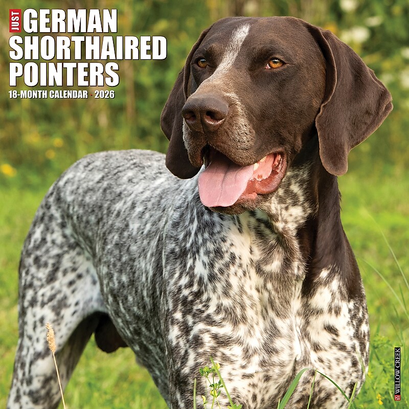 2026 Willow Creek German Shorthaired Pointers 12" x 12" Monthly Wall Calendar (51245) image 1