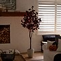 Nearly Natural Pre-Lit Artificial Halloween Black Eucalyptus Tree, 6' (T5223)~#|#~8282351E-56AF-4B77-B9940ABDAF3B7E87_sc7