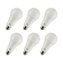 Viribright 17-Watts Soft White LED General-Purpose Bulb, 6/Box (450116-ES)~#|#~82837BD8-6750-4E84-9D1FB2458E30351E_sc7