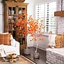Nearly Natural 5' Autumn Paper Birch Artificial Fall Tree (T4746)~#|#~CCE9CE0C-85E4-4ADF-81684D34326222C0_sc7