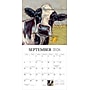 2026 BrownTrout Barnyard Friends 12" x 12" Monthly Wall Calendar (9781773728636)~#|#~82C7A1DE-8252-4573-B578A17847608959_sc7