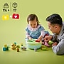 LEGO DUPLO Shape Sorter: Puppy House, 17 Pieces (10441)~#|#~82CB65B7-CA8F-425D-933FD8F7D29E1B56_sc7