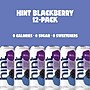 Hint Blueberry Lemon Flavored Purified Water, 12 fl. oz., 12 Cans/Pack (HINTBLULEMCAN12)~#|#~82D3514F-24D3-47F1-83AFE7337364300D_sc7