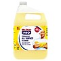 Mr. Clean PRO All Surface Cleaner Commercial Grade, 1 Gallon (24345)~#|#~82D4DA29-91CB-4443-BC10B2F184BA4BCA_sc7