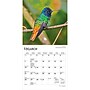 2027 BrownTrout Hummingbirds 7" x 7" Monthly Wall Calendar (9798330709830)~#|#~82E1260D-C1CF-43A1-BA2B1BE015029DF1_sc7