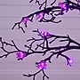 Nearly Natural Pre-Lit Artificial Halloween Spider Twig Tree, 4' (T5425)~#|#~830BF66B-0B21-4CE7-A7D5BE88EFAE1CBD_sc7
