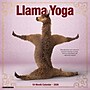 2026 Willow Creek Llama Yoga 12" x 12" Monthly Wall Calendar (55489)~#|#~833C0D19-BD96-48DA-98E6C9B43E7E8C39_sc7