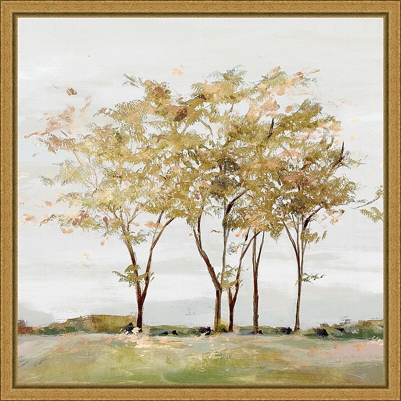 Amanti Art Golden Acre Wood (Trees) by Isabelle Z Framed Canvas Wall Art Print, 16" x 16" (A42675040734) image 1