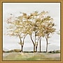 Amanti Art Golden Acre Wood (Trees) by Isabelle Z Framed Canvas Wall Art Print, 16" x 16" (A42675040734)~#|#~834CC8F0-6721-4286-BEB601917B3B8749_sc7