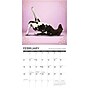 2026 Willow Creek Cow Yoga 12" x 12" Monthly Wall Calendar (50873X)~#|#~83CB7325-E4D7-4A4D-9D333A88132E9857_sc7