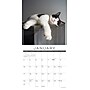 2027 Willow Creek Naptime: A Cat's Favorite Pastime 12" x 12" Monthly Wall Calendar (61404)~#|#~83D2AF67-BE9A-4500-AF02E18AFB1EC0EC_sc7