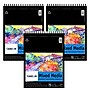 Canson Artist Series 11" x 14" Wire Bound Mixed Media Sketch Pad, 20 Sheets/Pad, 3/Bundle (MCXC20000618703-3)~#|#~83ED3A0C-EF84-4B95-A9CC20EAA7D8170D_sc7