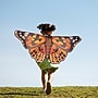 Insect Lore Dress-Up Painted Lady Butterfly Wings, Orange/Black, 3/Bundle (ILP4800-3)~#|#~83F2BA05-105D-487B-9E5B13BF2966214B_sc7
