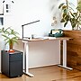 Branch Duo 58"W Electric Adjustable Standing Desk, Walnut/White (10-10-09-30)~#|#~83F81C0C-FEE5-4418-9B3DA53C4783B4C8_sc7