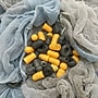 TerraCycle Cardboard Hair Nets, Beard Nets and Ear Plugs Zero Waste Box, 36 Gallon, Natural Kraft (CS46-L)~#|#~83F9D80A-151F-47D2-9A4C288D29F13576_sc7
