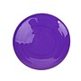 Crayola Washable Kid's Paint, Violet, 16 oz. (54-2016-040)~#|#~8431BDB4-4932-4EE9-92C2A4E4C46DAB3D_sc7