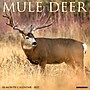 2027 Willow Creek Mule Deer 2027 12" x 12" Wall Calendar 12" x 12" Monthly Wall Calendar, Assorted Colors (61350)~#|#~843CC7FB-5147-48BD-A3CD7E389FBD8727_sc7