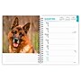 2026 BrownTrout German Shepherds 6.5" x 7.75" Weekly Planner (9798330703371)~#|#~8450241E-4B37-42AD-BE116847A57532D6_sc7