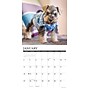 2026 Willow Creek Schnauzer Puppies 12" x 12" Monthly Wall Calendar (52679)~#|#~846754A7-E55E-4A44-8397FE9B3BAB4163_sc7