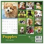 2026 TF Publishing 12" x 17" TF Publishing 7" x 7" Puppies Mini Calendar 26-2007~#|#~846AA9C5-7ADD-4623-BCF5715141DAEFA9_sc7