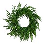 Nearly Natural Artificial Real Touch Norfolk Island Pine Wreath, 24" (W1396)~#|#~846CB5D1-928B-42B1-B1968DF4F212A11D_sc7