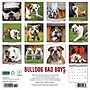 2026 Willow Creek Bulldog Bad Boys 12" x 12" Monthly Wall Calendar (50415)~#|#~84786278-E713-4307-A48AE2AFDA9D6C4B_sc7