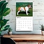 2027 BrownTrout For the Love of Bulldogs 14" x 12" Monthly Wall Calendar, Assorted Colors (9798330714674)~#|#~847D4A44-F989-43FB-9B9DE1CF913A5380_sc7