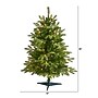 Nearly Natural Snowed Grand Teton Fir Artificial Christmas Tree, 3' (T1966)~#|#~8486CB1A-559D-4AD9-8EE683825025E9D4_sc7