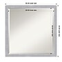 Amanti Art Grace Brushed Nickel Narrow Frame Wall Mirror, 22" x 22" (A42675343054)~#|#~84987B17-ACF0-4E87-883BD382913E86B4_sc7