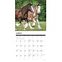 2026 Willow Creek Clydesdales 12" x 12" Monthly Wall Calendar (55373)~#|#~84AB9D65-1E82-44B6-91B594EE37FBABBB_sc7