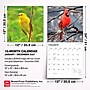 2027 BrownTrout Songbirds 12" x 12" Monthly Wall Calendar (9798330712113)~#|#~84B0AE45-5B76-40CC-9E3CFDA604A8D387_sc7